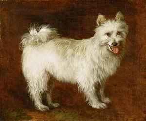 Thomas Gainsborough - Spitz Dog