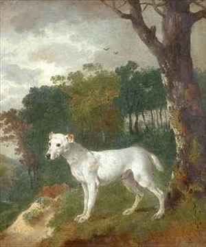Thomas Gainsborough - Bumper a Bull Terrier