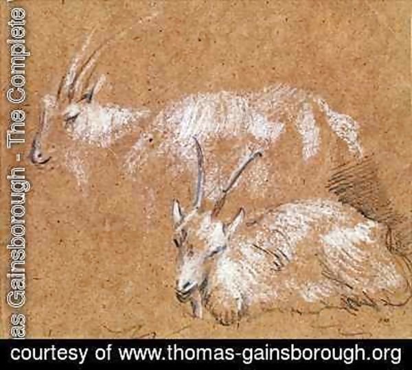 Thomas Gainsborough - Study of Goats