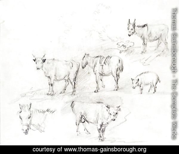 Study Of Horses, Cows, A Donkey And A Pig