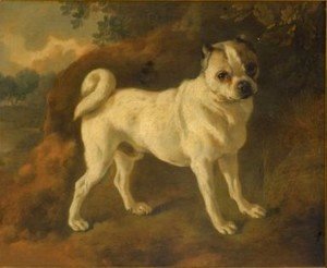Thomas Gainsborough - A Pug