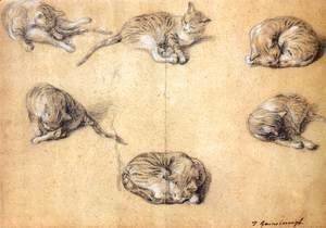 Six studies of a cat 1765-70