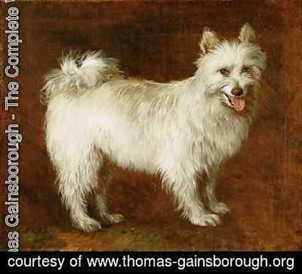 Thomas Gainsborough - Spitz Dog