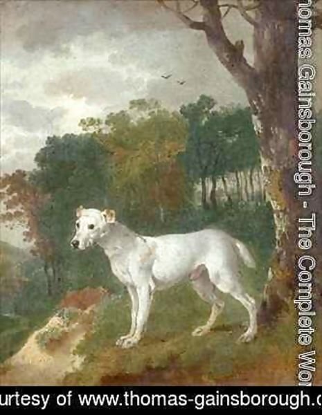 Thomas Gainsborough - Bumper a Bull Terrier