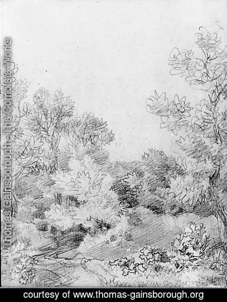 Thomas Gainsborough - Study of a track through a wooded landscape