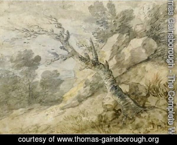 Thomas Gainsborough - Wooded Landscape With Rocks And Tree Stump