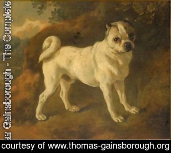 Thomas Gainsborough - A Pug