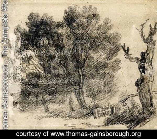 Thomas Gainsborough - Study of willows